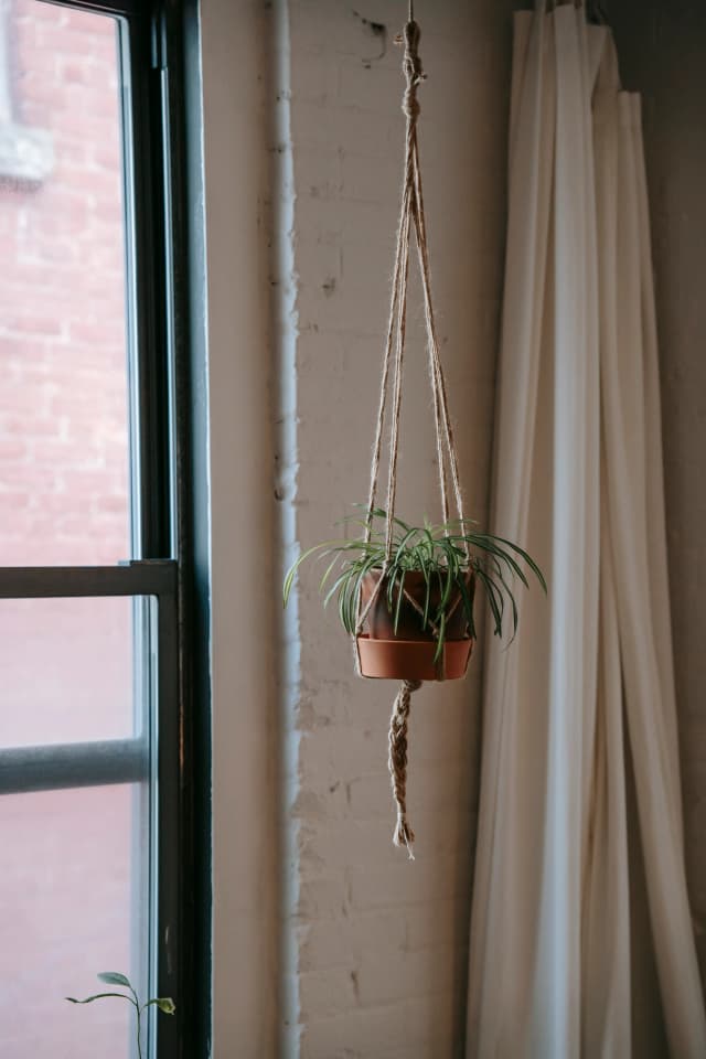 Woven Plant Hanger