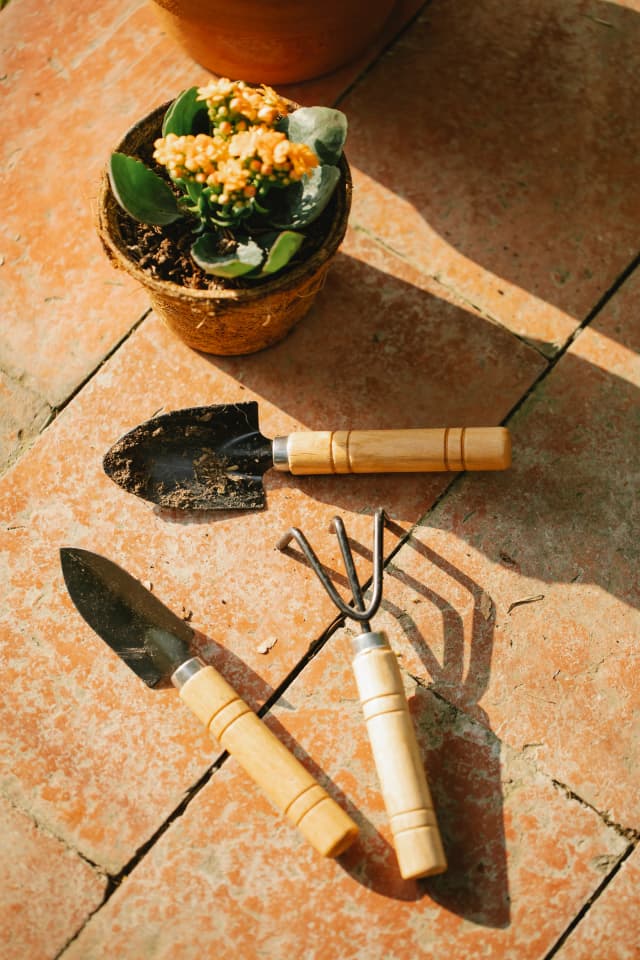 Copper Hand Trowel